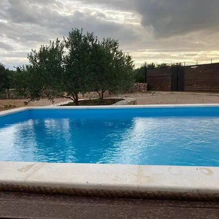 Olea *
