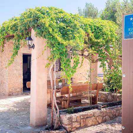 Olea *
